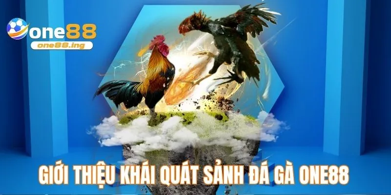 Giới thiệu khái quát sảnh đá gà ONE88