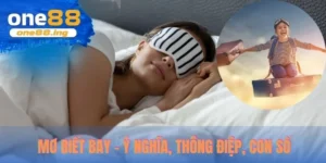 mơ biết bay - ý nghĩa thông điệp con số