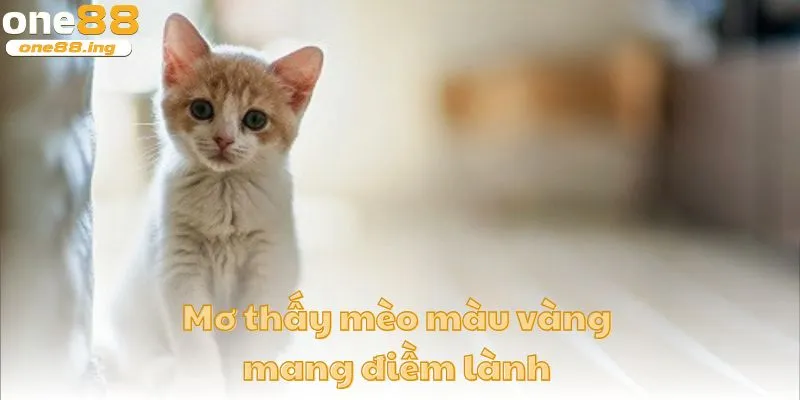 Mơ thấy mèo màu vàng cho thấy đây là điềm lành